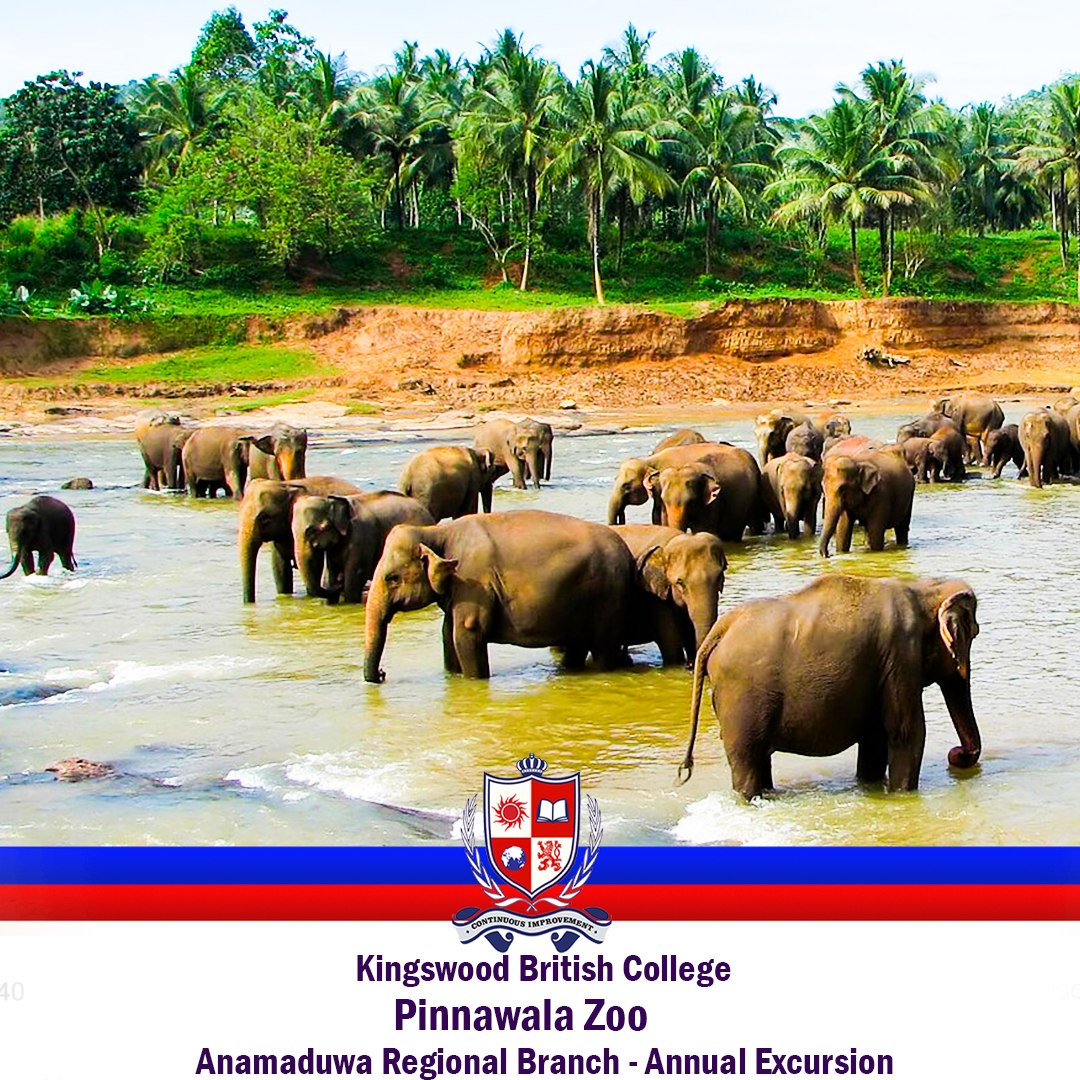 Annual Excursion 2025 – Pinnawala Zoo Visit by Kingswood British College, Anamaduwa Branch 2